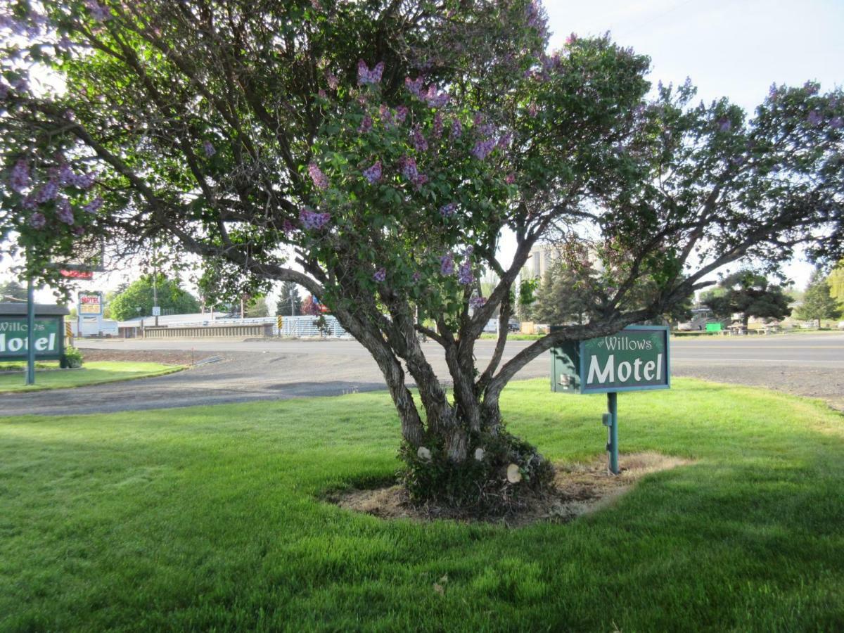 The Willows Motel Wilbur Luaran gambar